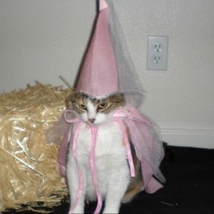 Meet your Posher, Katarina